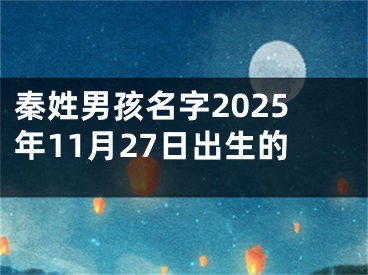 秦姓男孩名字2025年11月27日出生的