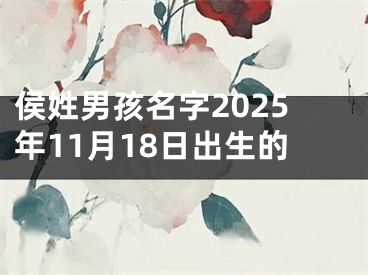 侯姓男孩名字2025年11月18日出生的