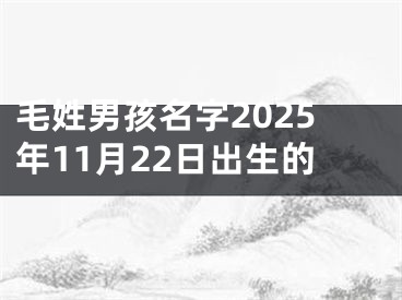 毛姓男孩名字2025年11月22日出生的