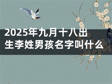 2025年九月十八出生李姓男孩名字叫什么