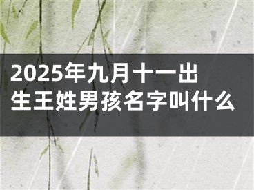 2025年九月十一出生王姓男孩名字叫什么