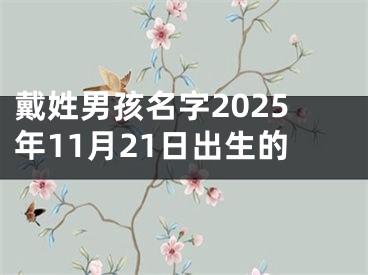 戴姓男孩名字2025年11月21日出生的