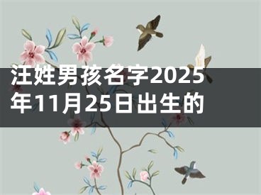 汪姓男孩名字2025年11月25日出生的