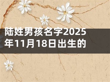 陆姓男孩名字2025年11月18日出生的