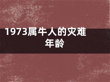 1973属牛人的灾难年龄