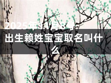 2025年11月8号出生赖姓宝宝取名叫什么