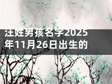 汪姓男孩名字2025年11月26日出生的