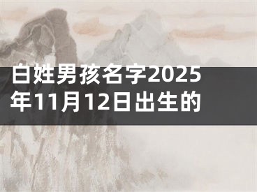 白姓男孩名字2025年11月12日出生的