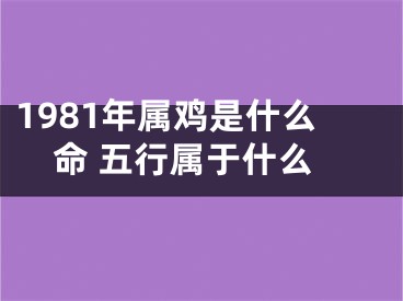 1981年属鸡是什么命 五行属于什么