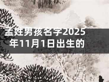 孟姓男孩名字2025年11月1日出生的