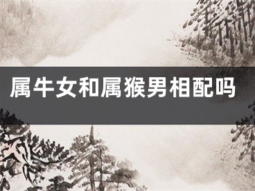 属牛女和属猴男相配吗