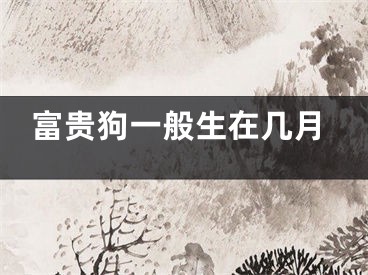 富贵狗一般生在几月