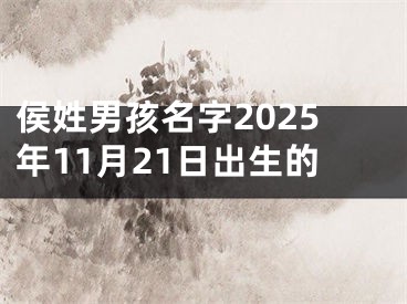 侯姓男孩名字2025年11月21日出生的