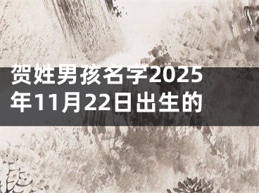 贺姓男孩名字2025年11月22日出生的