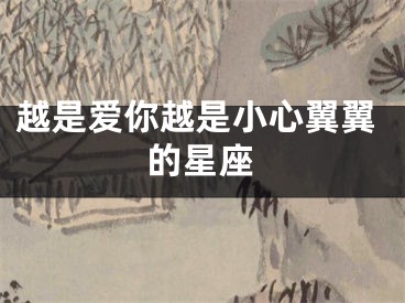 越是爱你越是小心翼翼的星座
