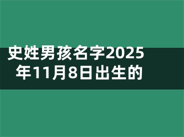 史姓男孩名字2025年11月8日出生的