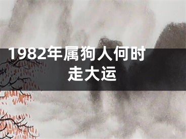 1982年属狗人何时走大运