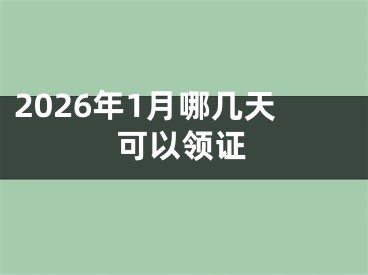 2026年1月哪几天可以领证