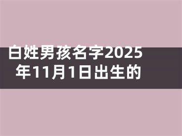 白姓男孩名字2025年11月1日出生的
