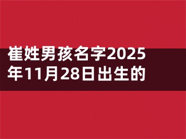 崔姓男孩名字2025年11月28日出生的