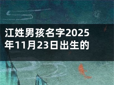 江姓男孩名字2025年11月23日出生的