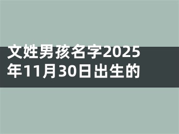文姓男孩名字2025年11月30日出生的