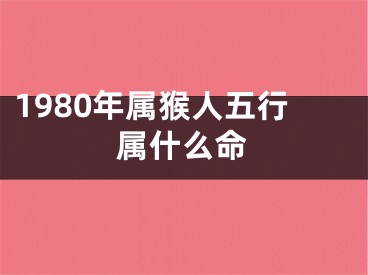 1980年属猴人五行属什么命