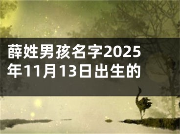 薛姓男孩名字2025年11月13日出生的