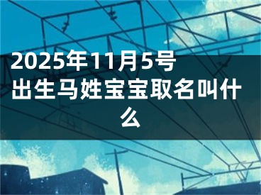 2025年11月5号出生马姓宝宝取名叫什么
