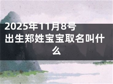 2025年11月8号出生郑姓宝宝取名叫什么