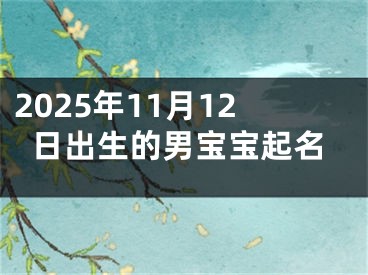2025年11月12日出生的男宝宝起名