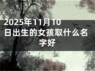 2025年11月10日出生的女孩取什么名字好