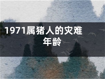 1971属猪人的灾难年龄