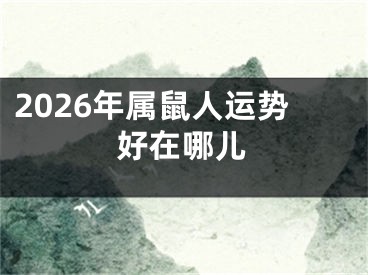 2026年属鼠人运势好在哪儿