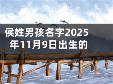 侯姓男孩名字2025年11月9日出生的