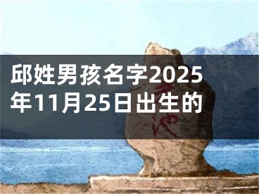 邱姓男孩名字2025年11月25日出生的