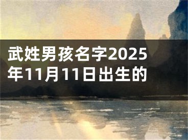 武姓男孩名字2025年11月11日出生的