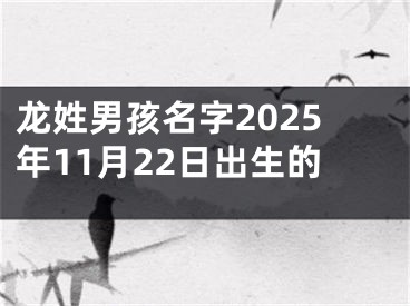 龙姓男孩名字2025年11月22日出生的