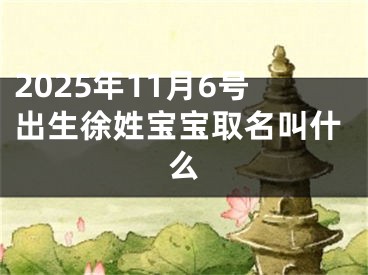 2025年11月6号出生徐姓宝宝取名叫什么