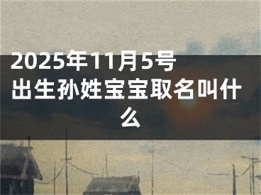 2025年11月5号出生孙姓宝宝取名叫什么