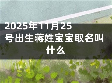 2025年11月25号出生蒋姓宝宝取名叫什么