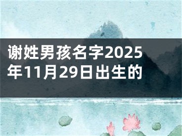 谢姓男孩名字2025年11月29日出生的
