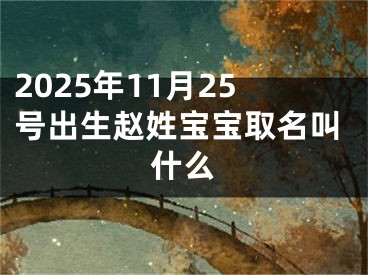 2025年11月25号出生赵姓宝宝取名叫什么