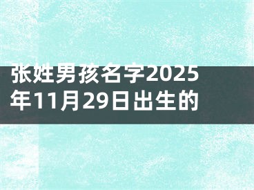 张姓男孩名字2025年11月29日出生的