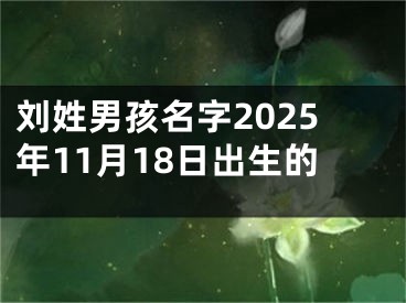刘姓男孩名字2025年11月18日出生的