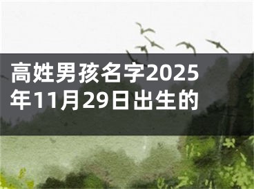 高姓男孩名字2025年11月29日出生的