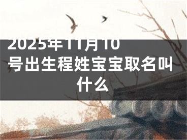 2025年11月10号出生程姓宝宝取名叫什么