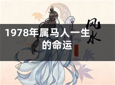 1978年属马人一生的命运