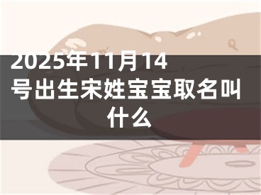2025年11月14号出生宋姓宝宝取名叫什么