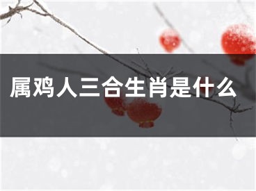 属鸡人三合生肖是什么